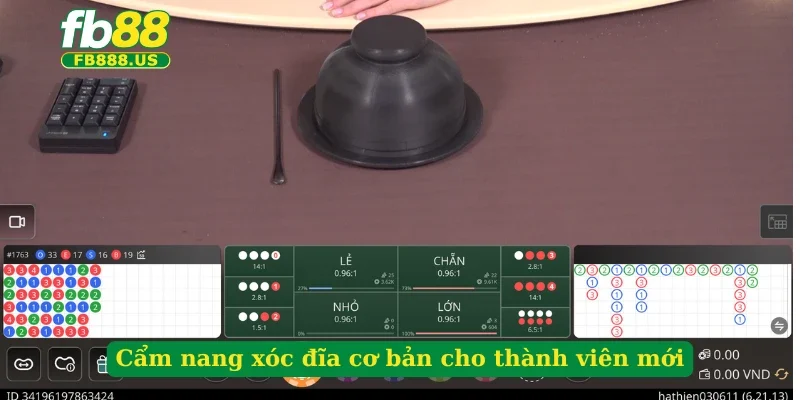 cam-nang-xoc-dia-co-ban-cho-thanh-vien-moi