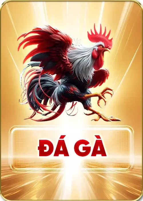 đá gà fb88